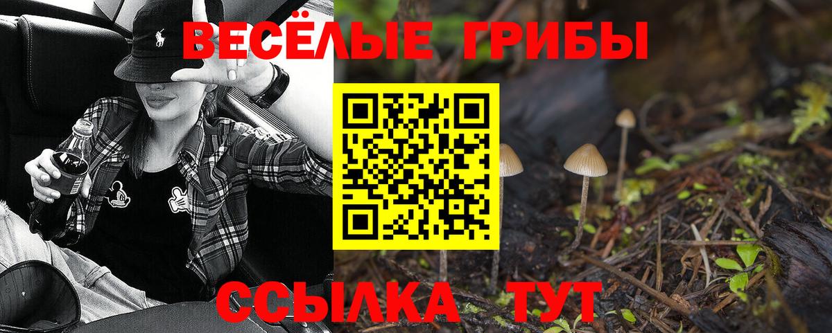 Псилоцибиновые грибы прущие грибы  Вход с VPN  Орск 